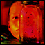 Jar of Flies