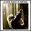 Wide awake in America